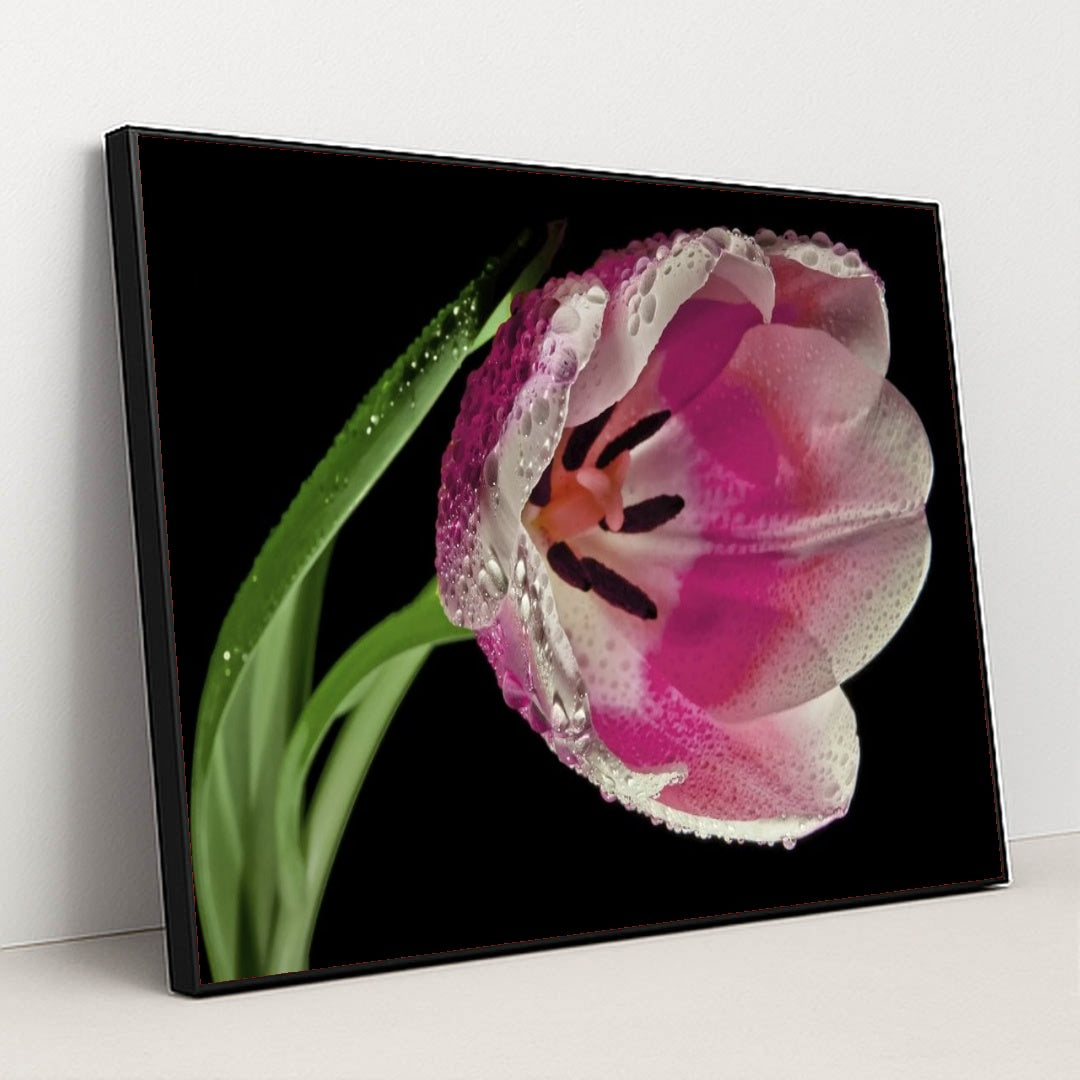 7090295242787 - Product Image