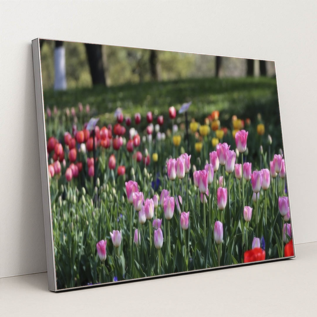 7090328895523 - Product Image