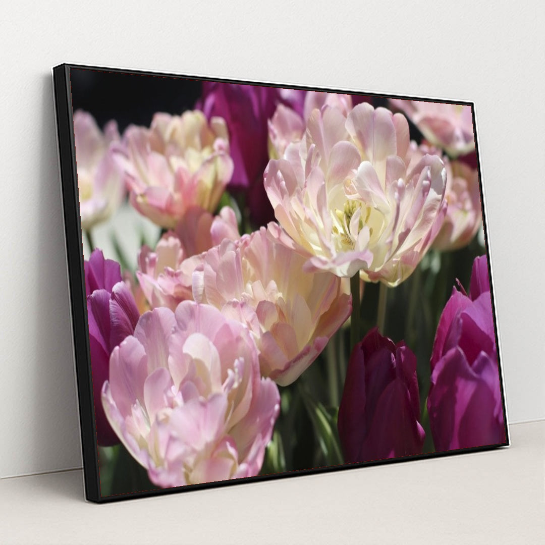 7090328600611 - Product Image