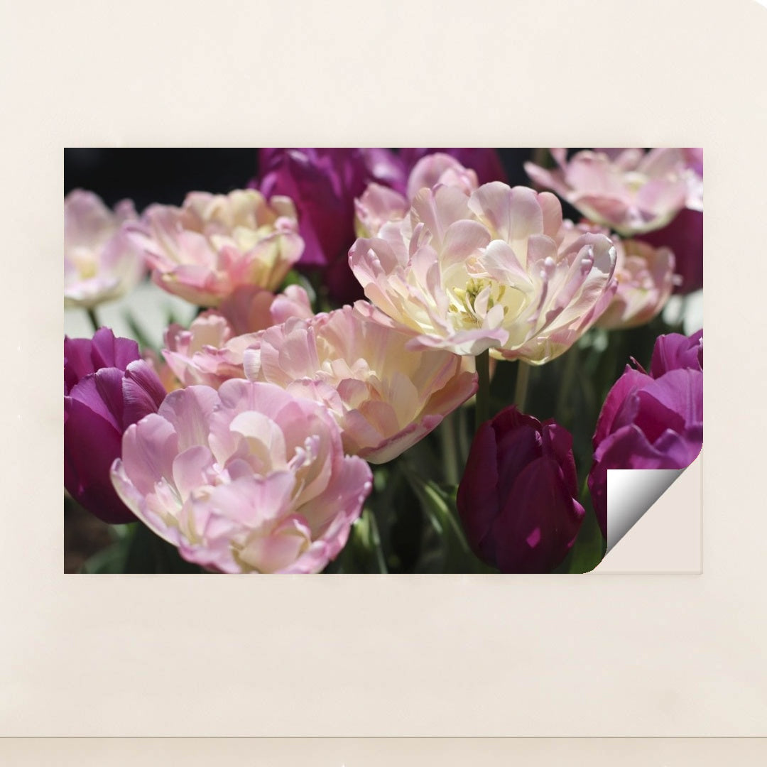 7090328600611 - Product Image