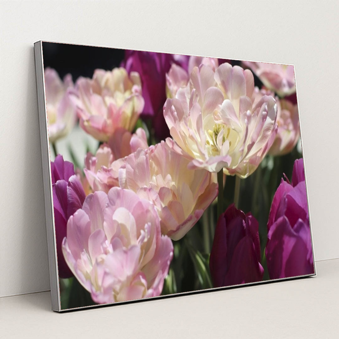 7090328600611 - Product Image