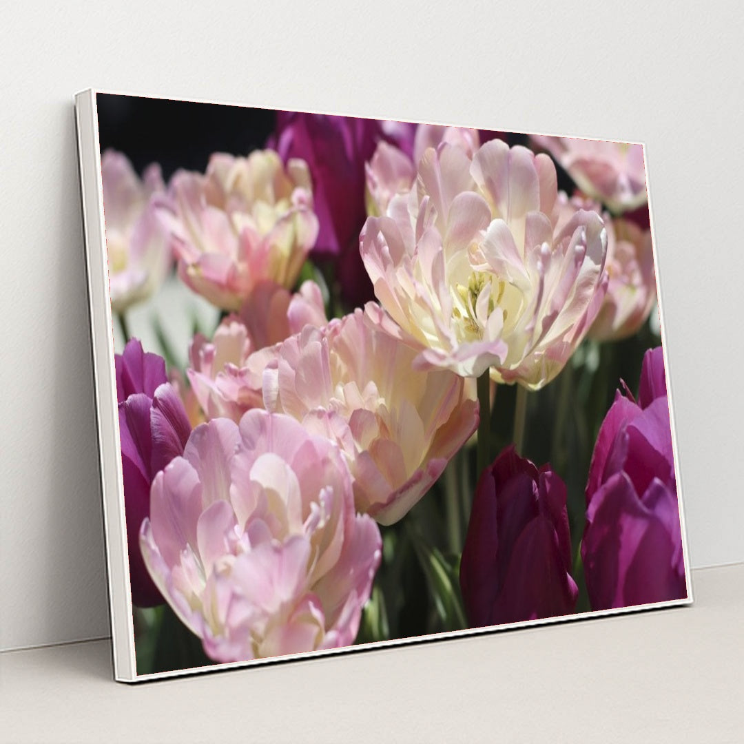 7090328600611 - Product Image