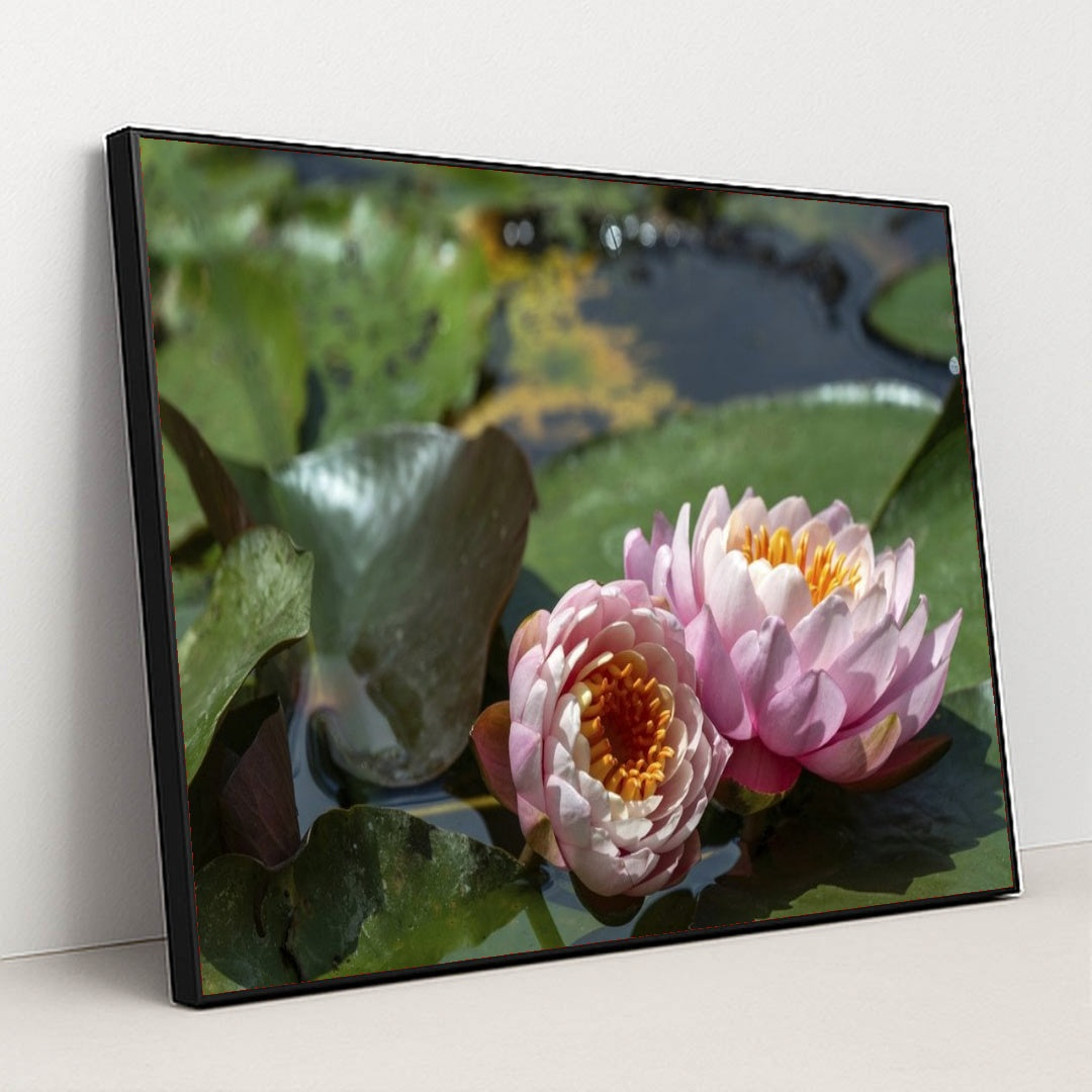 7090346623011 - Product Image