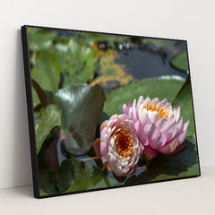 7090346623011 - Product Image