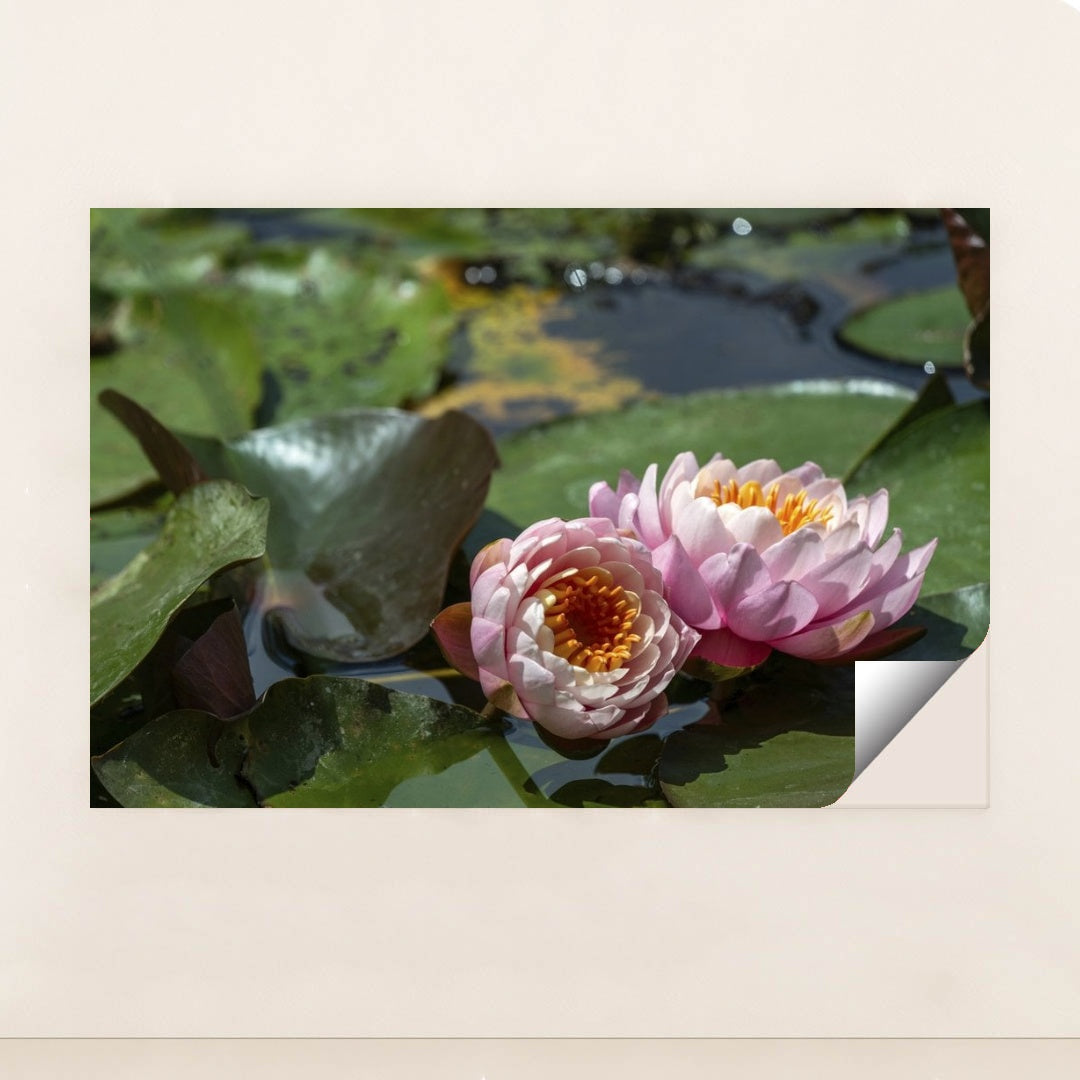 7090346623011 - Product Image