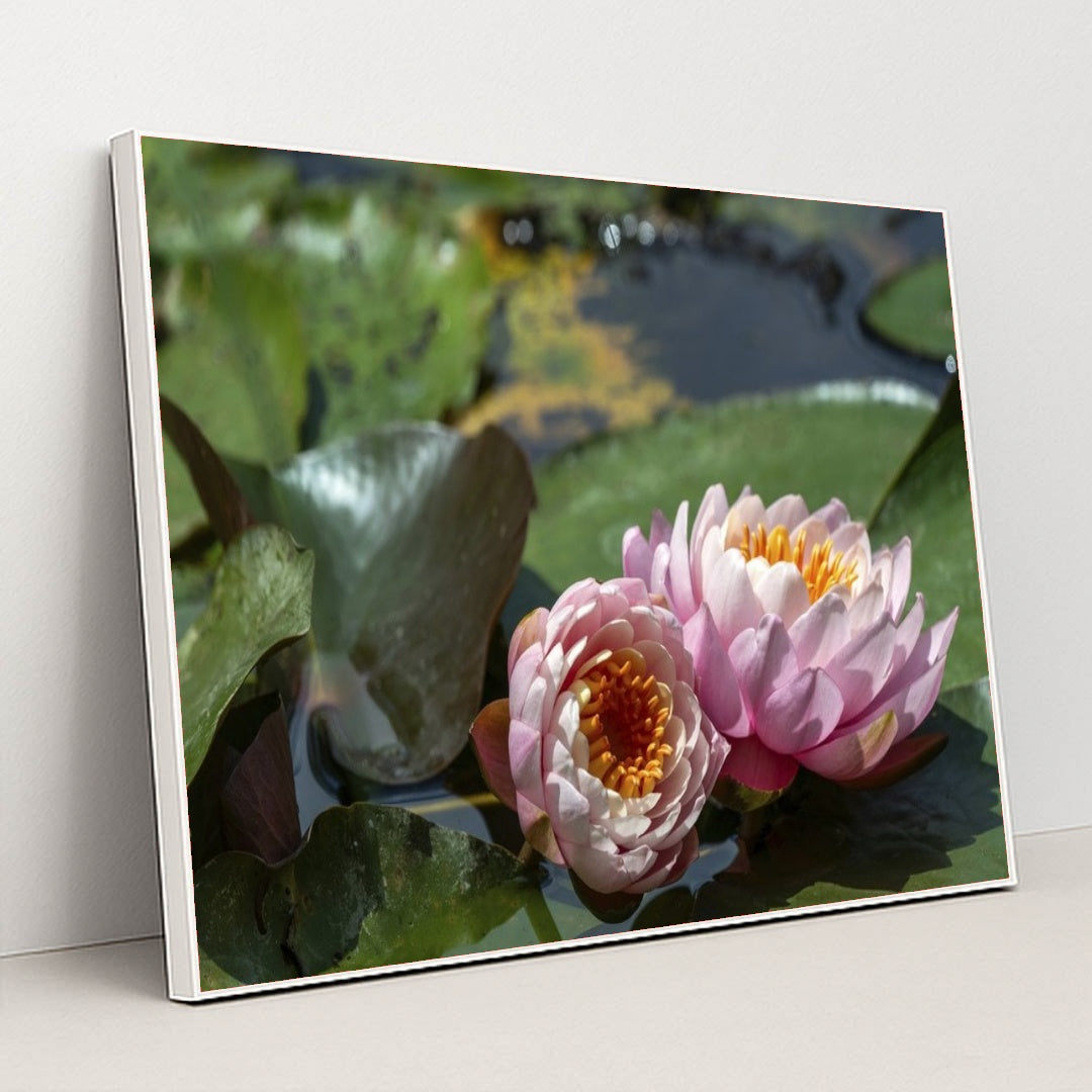 7090346623011 - Product Image