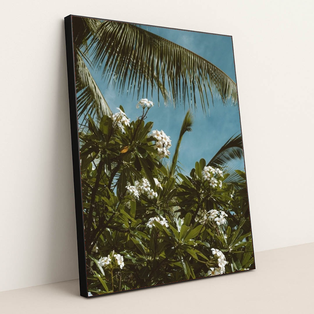 7090291376163 - Product Image