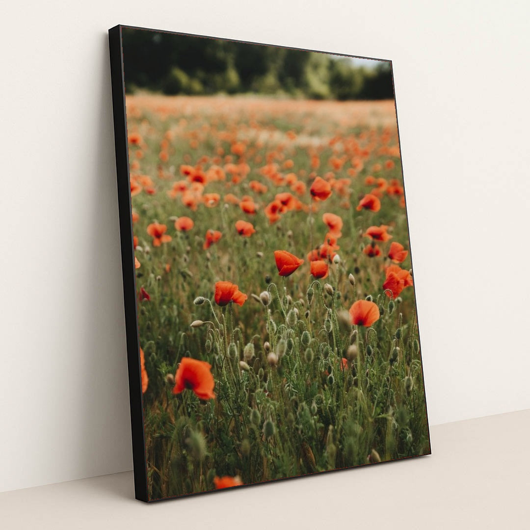 7090289180707 - Product Image