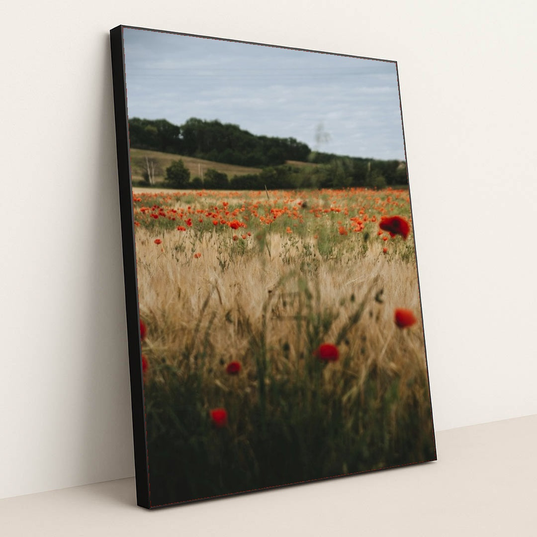 7090295603235 - Product Image