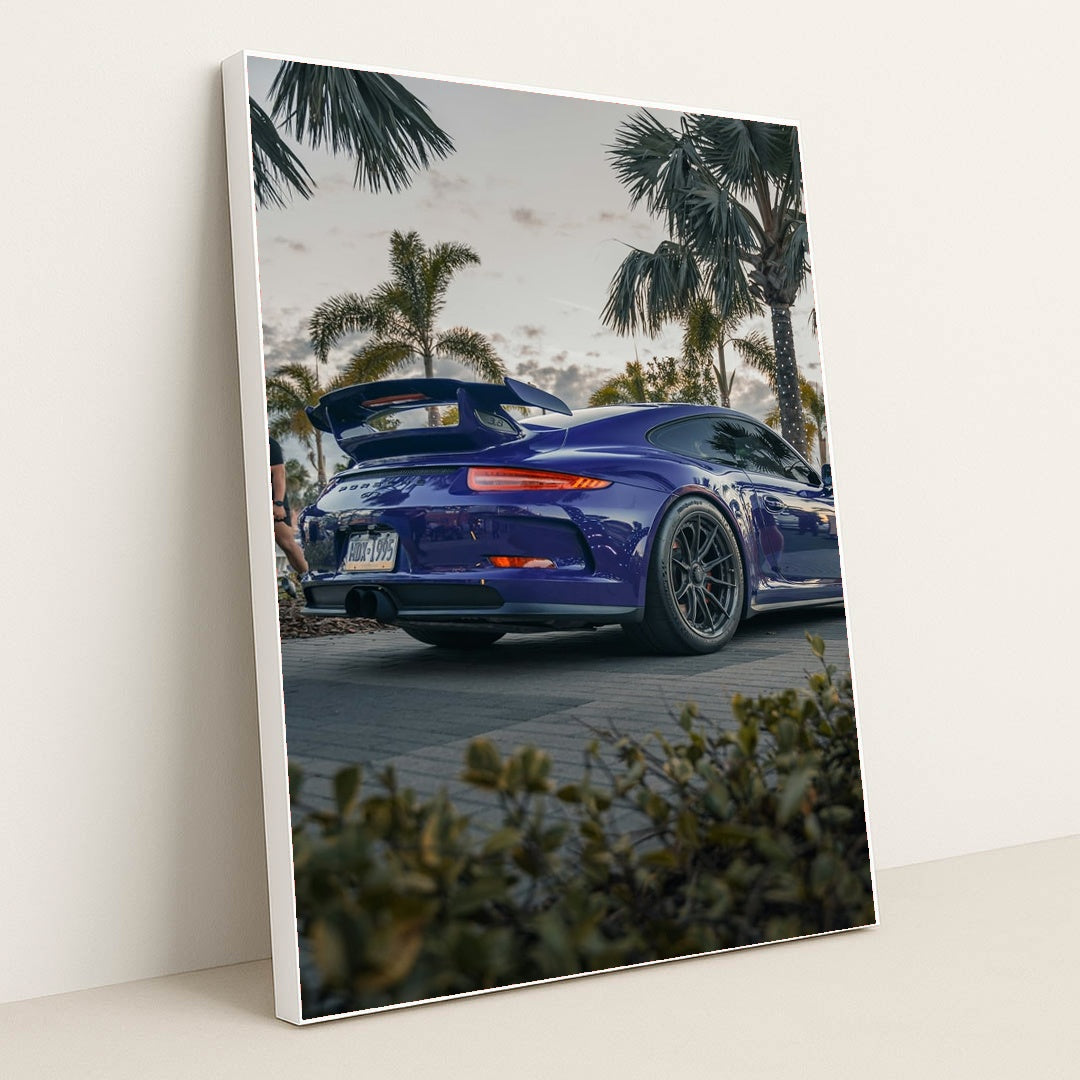 Porsche 911 GT3 Under Tropic Haze by Bradikan - White Frame Stretchiez