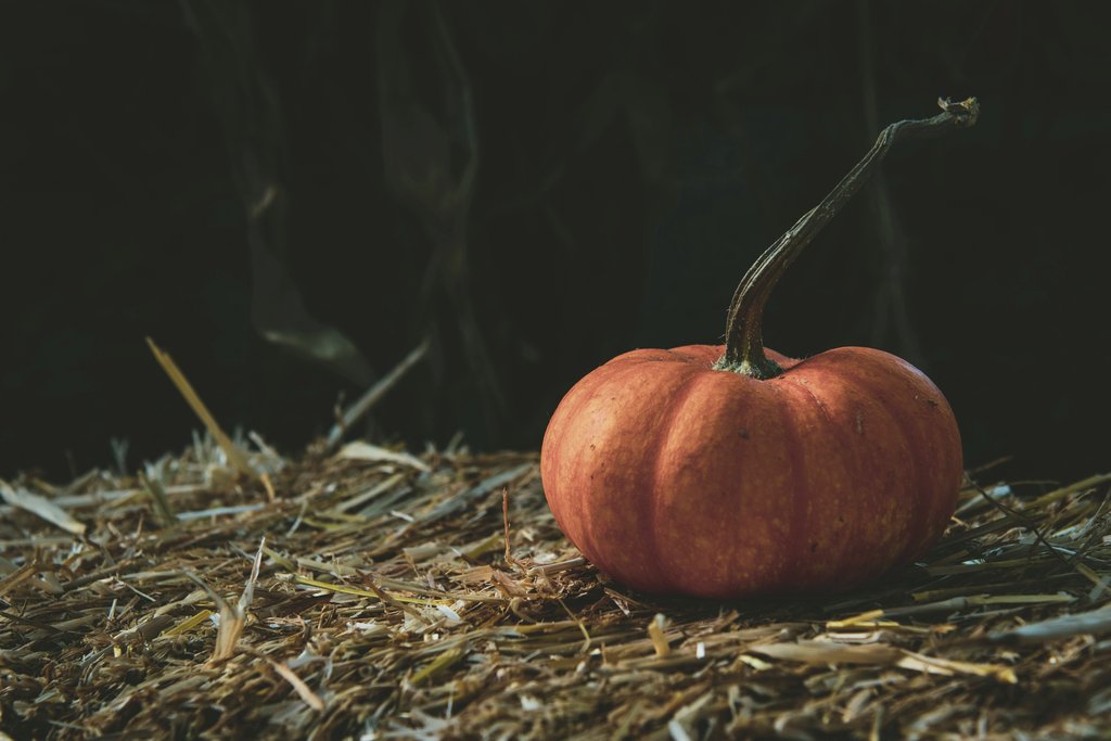 Tim Mossholder - A vibrant orange pumpkin rests on a straw bale, embodying fall's rustic charm.