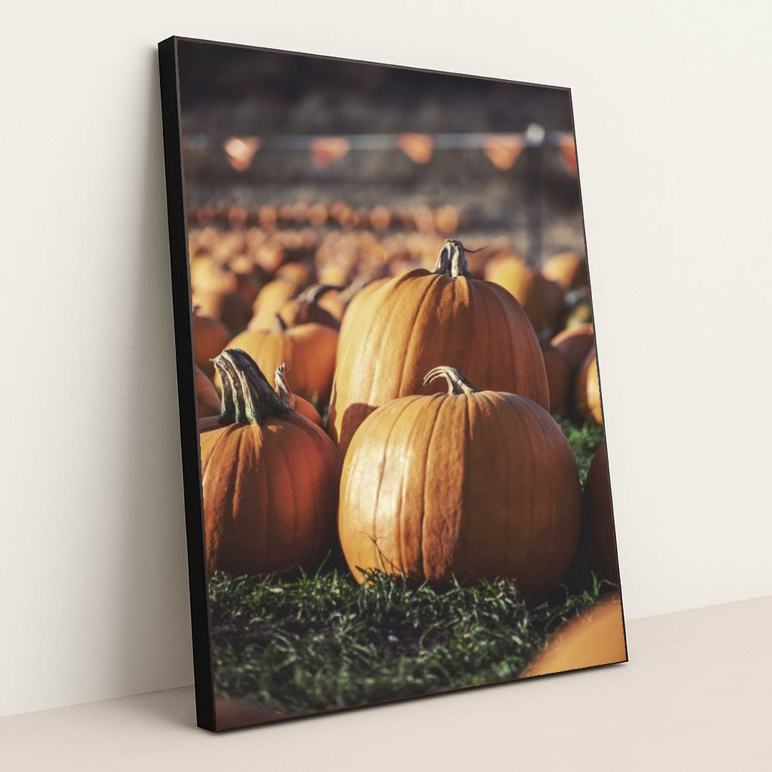 7090358288419 - Product Image