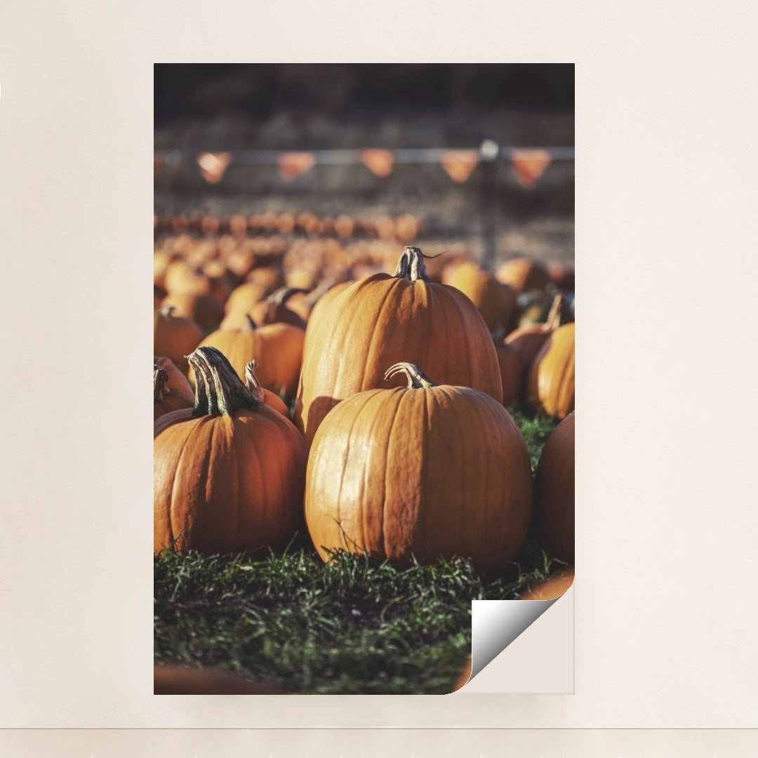 7090358288419 - Product Image