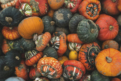 Connor Danylenko - A vibrant display of assorted pumpkins and squash showcasing autumn harvest and organic farming in England.