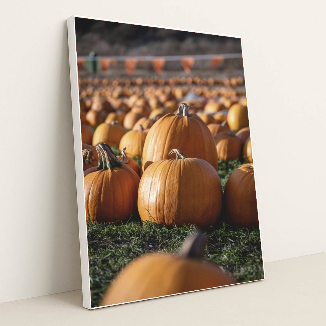 7090349441059 - Product Image