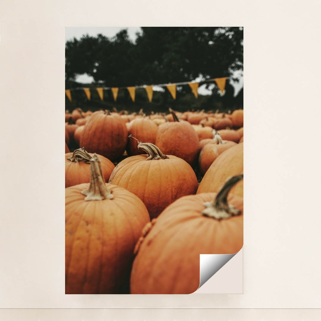 7090331746339 - Product Image