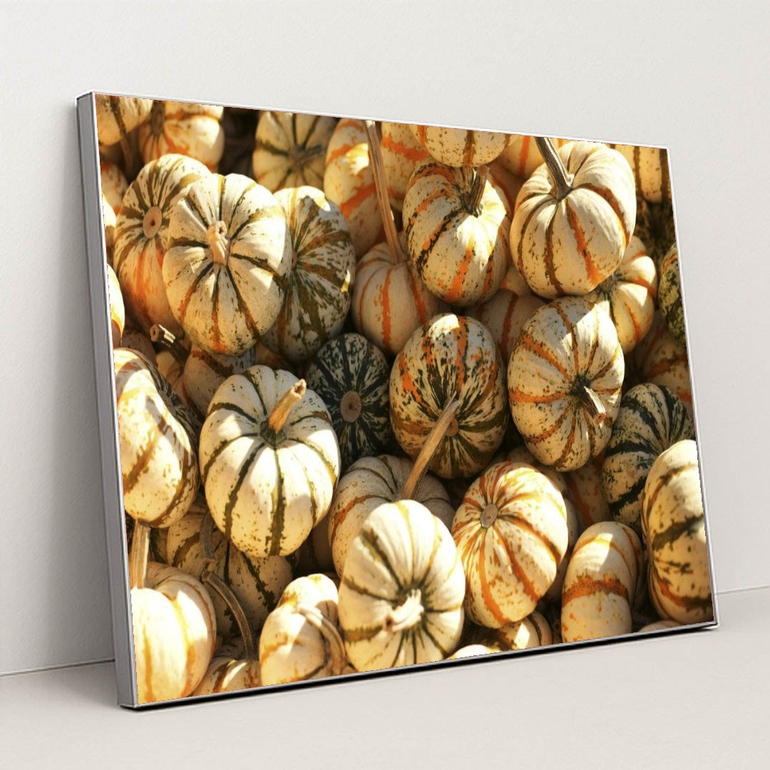 7090328797219 - Product Image