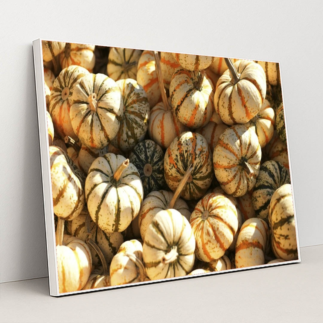 7090328797219 - Product Image