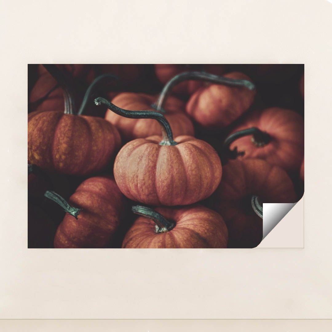 7090331516963 - Product Image