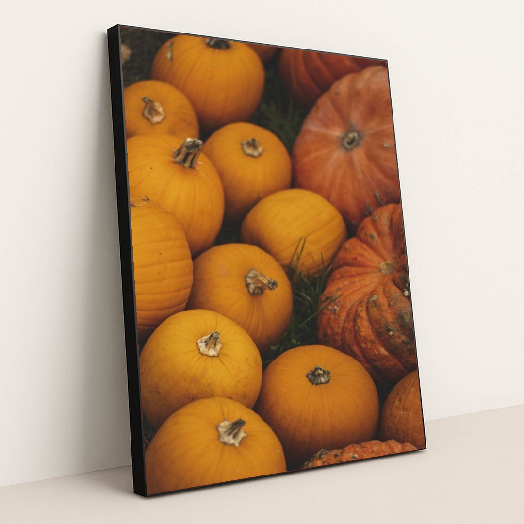 7090334597155 - Product Image