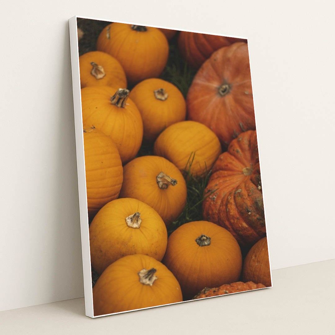 7090334597155 - Product Image