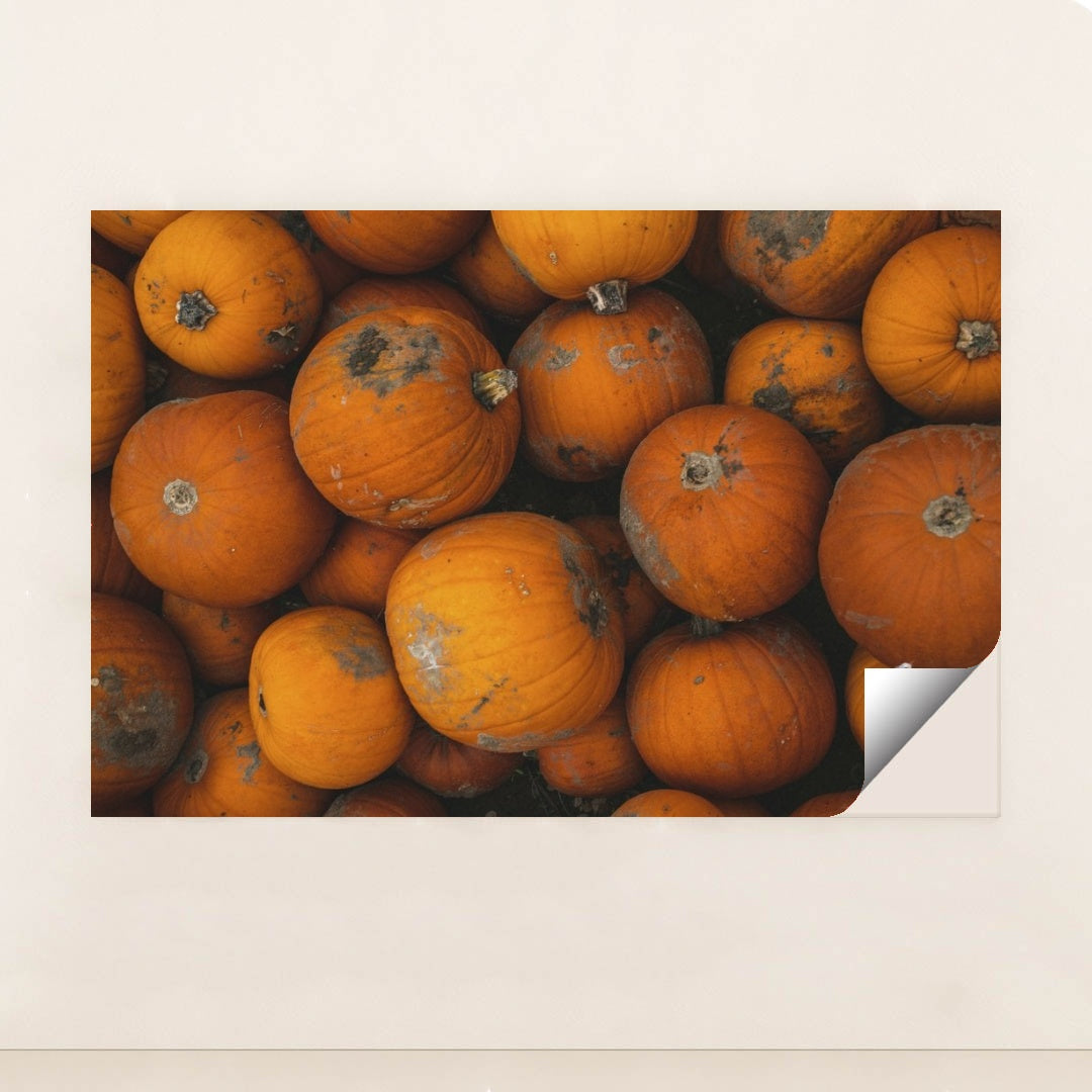 7090334466083 - Product Image