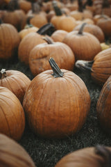Tim Mossholder - A collection of orange pumpkins stacked in an outdoor setting, perfect for autumn themes.