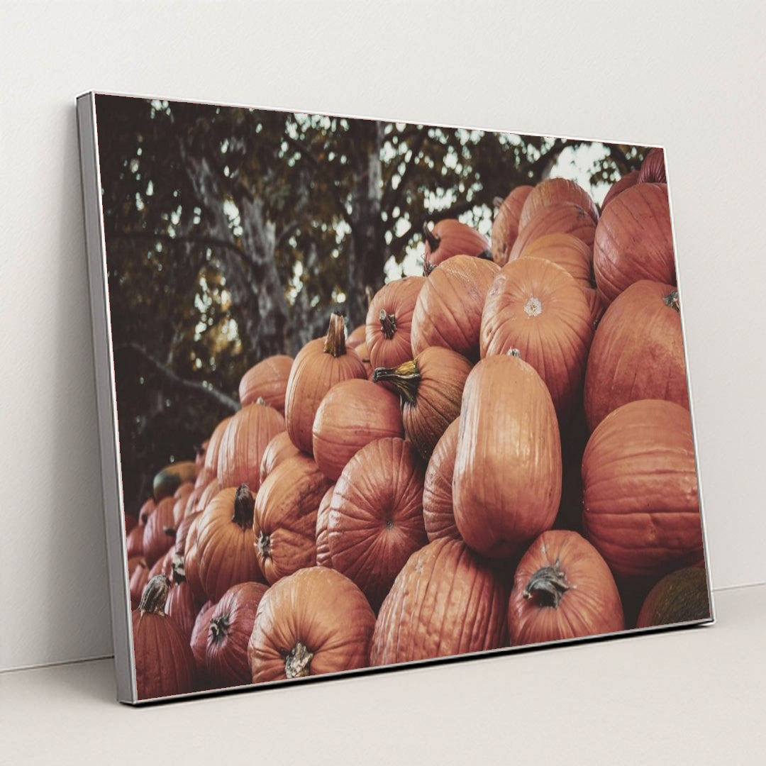 7090330435619 - Product Image