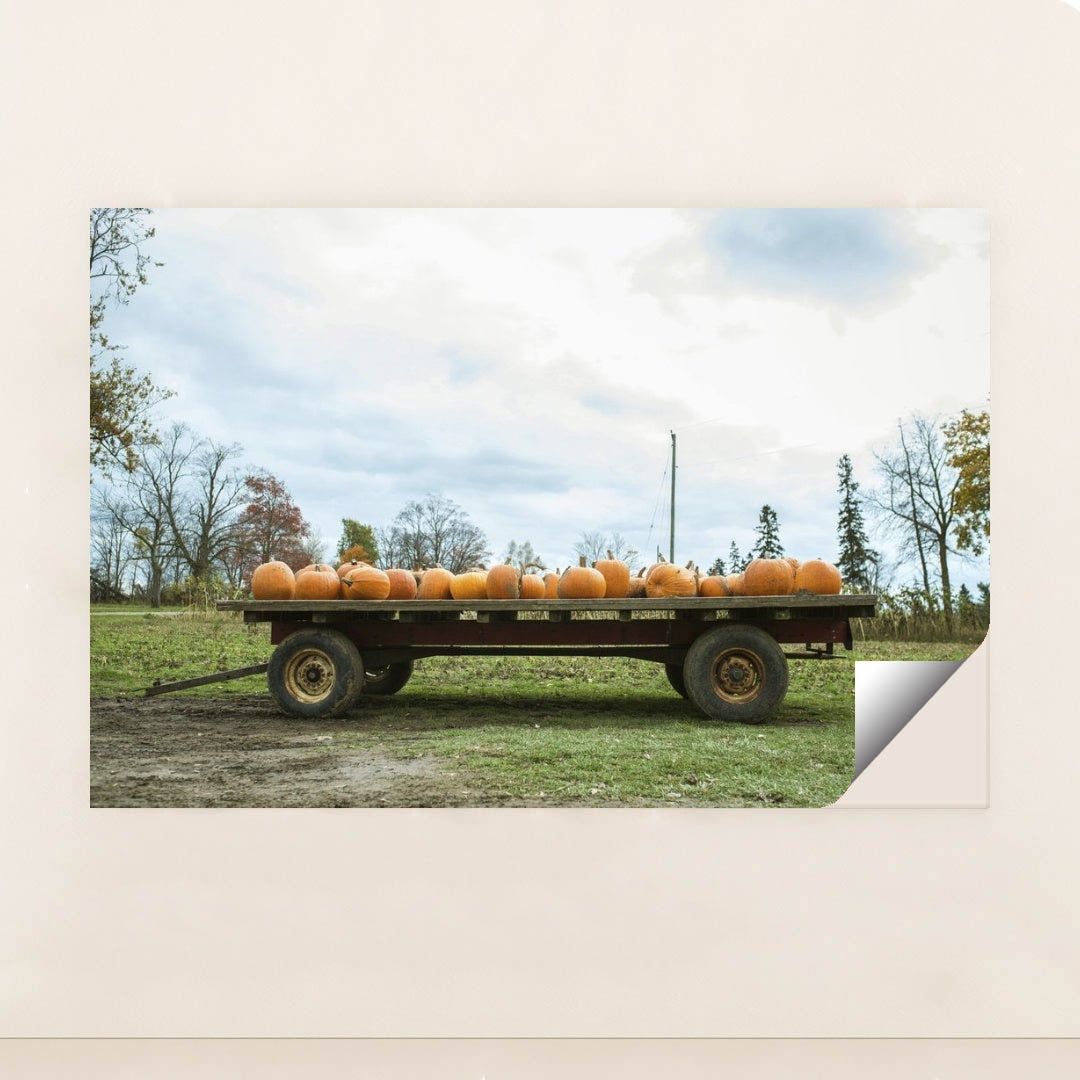 7090343903267 - Product Image