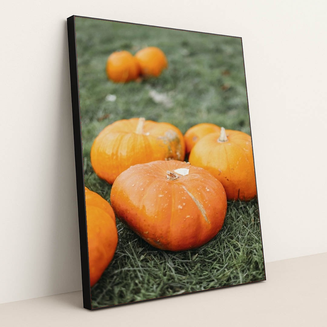 7090358222883 - Product Image