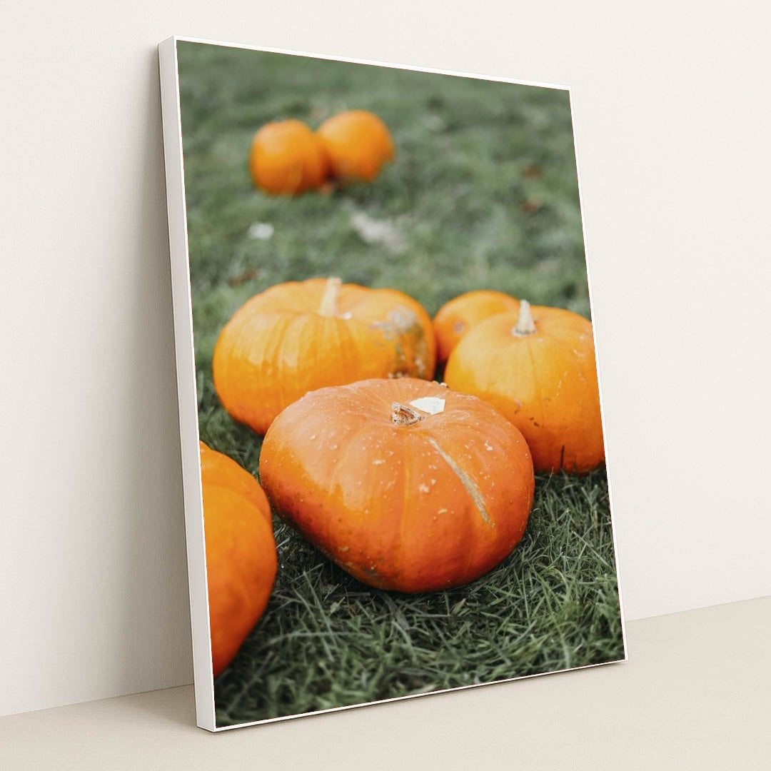 7090358222883 - Product Image