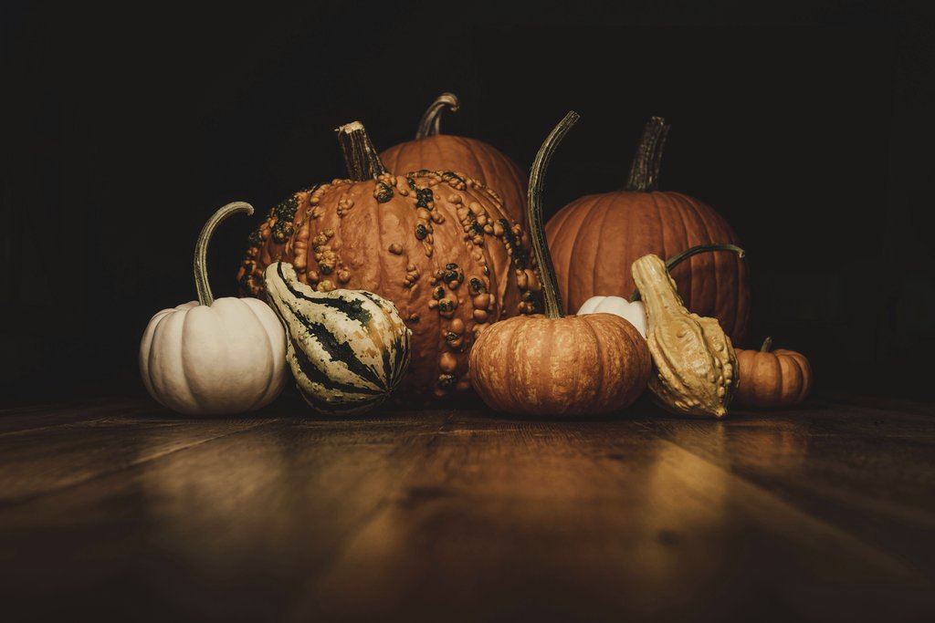 Tim Mossholder - A warm, rustic showcase of pumpkins and gourds perfect for fall and Halloween themes.