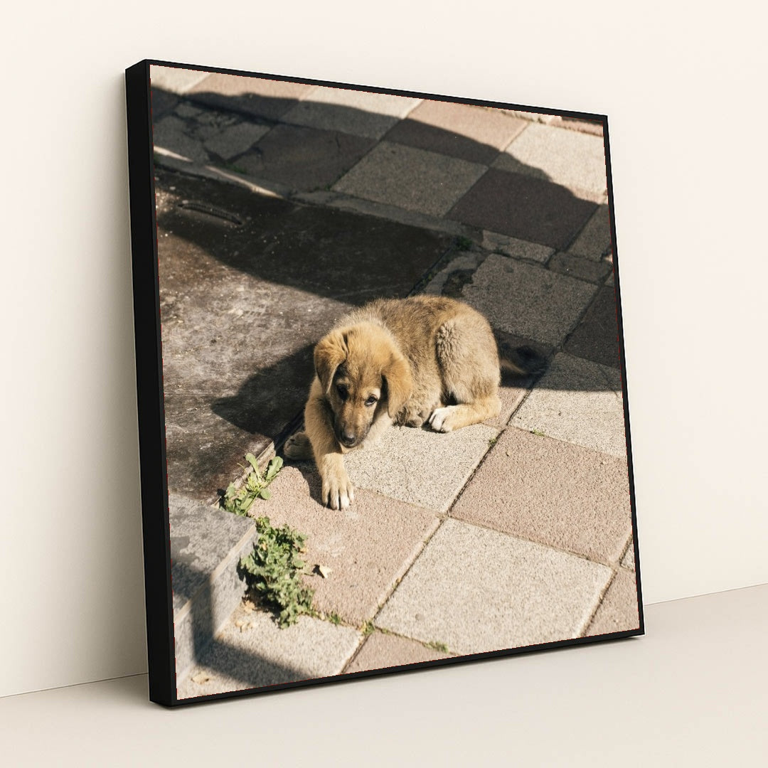 7090329255971 - Product Image