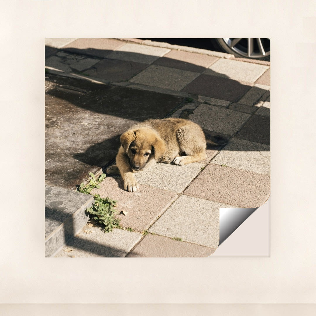 7090329255971 - Product Image