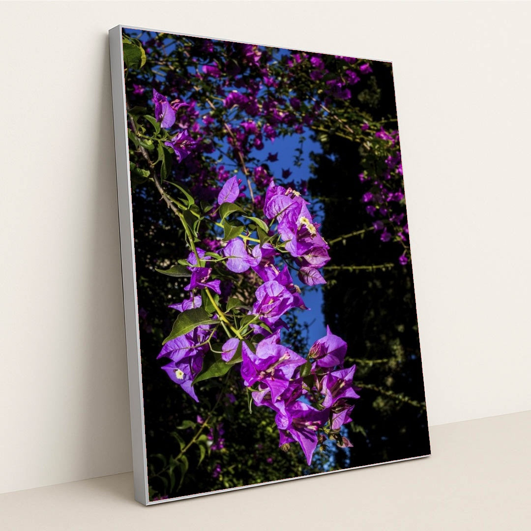 7090291671075 - Product Image