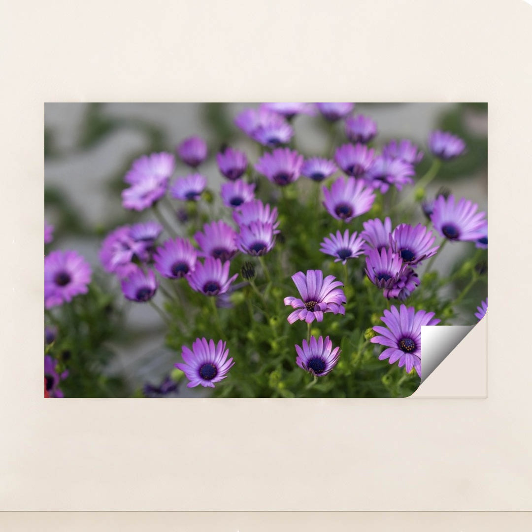 7090358321187 - Product Image