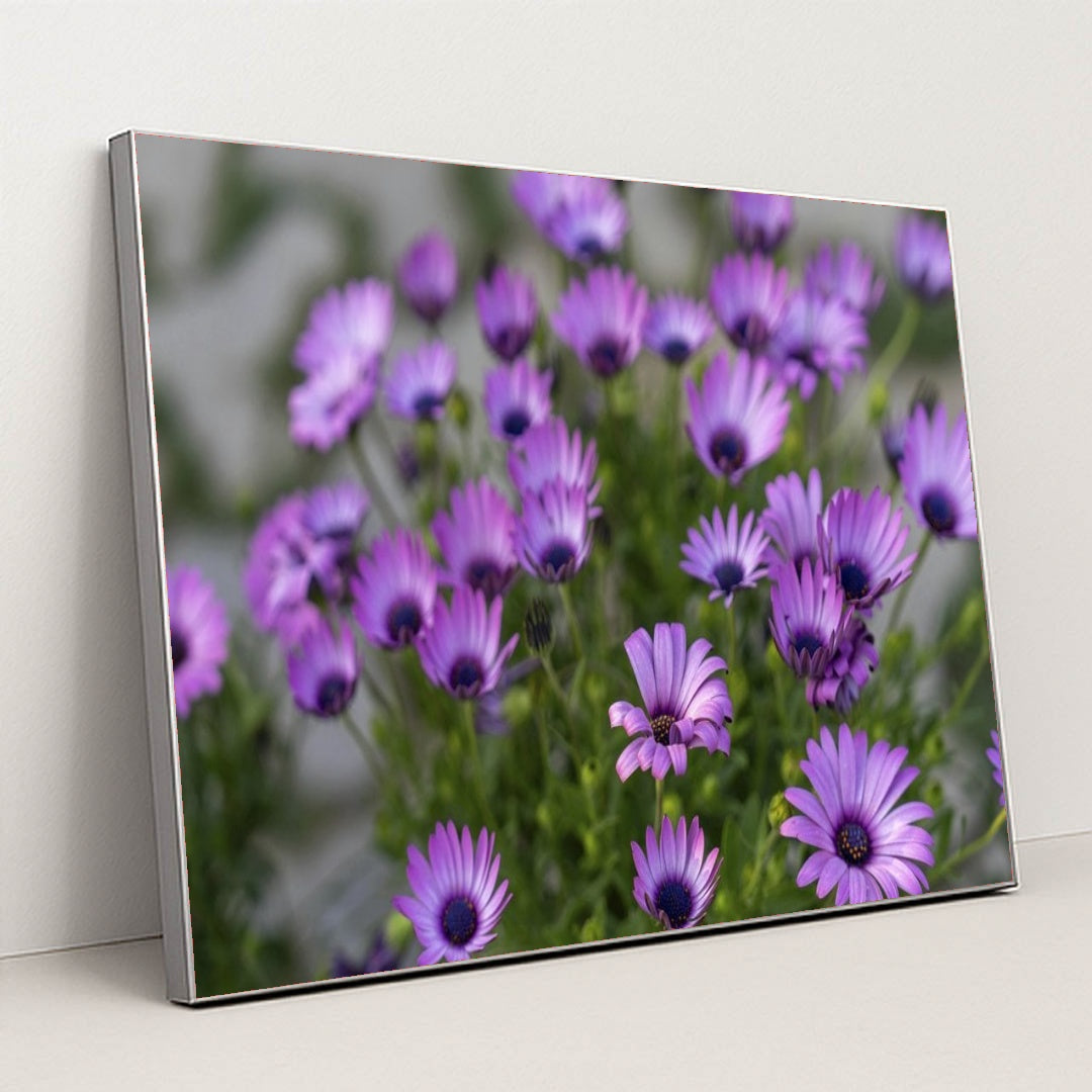 7090358321187 - Product Image