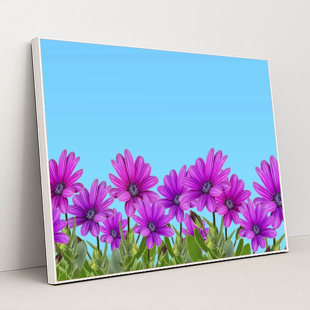 7090343542819 - Product Image