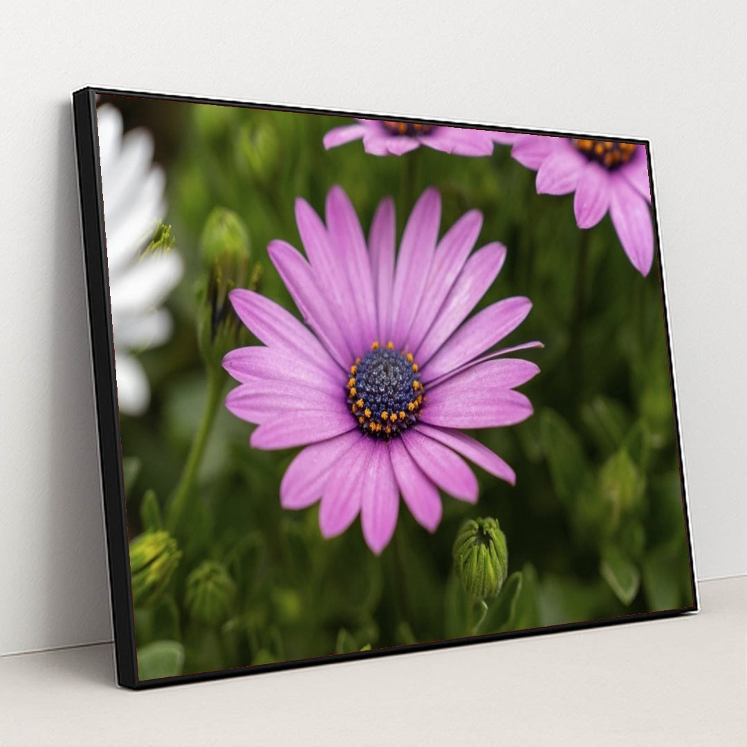 7090347933731 - Product Image