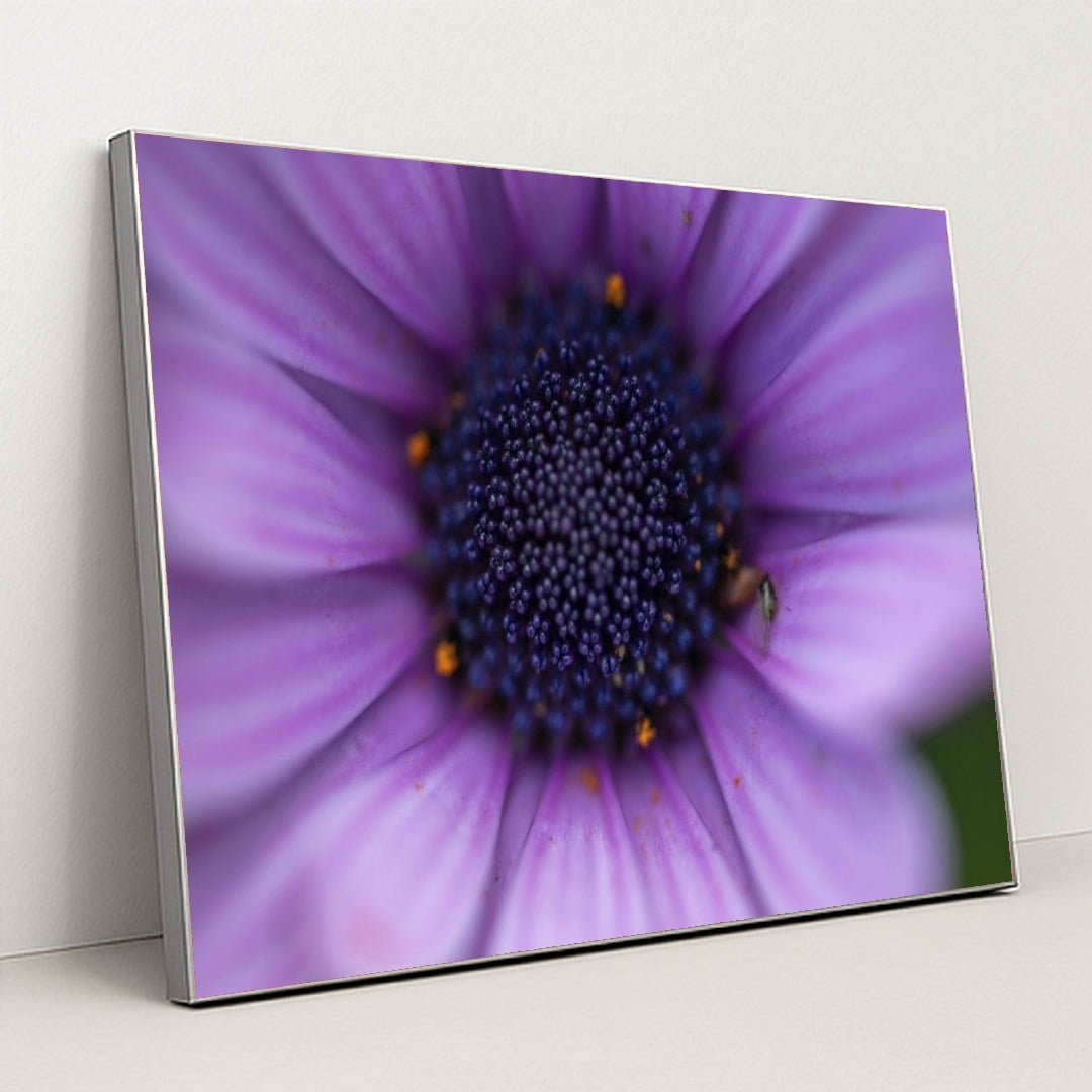 7090295472163 - Product Image