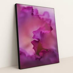 7090285740067 - Product Image