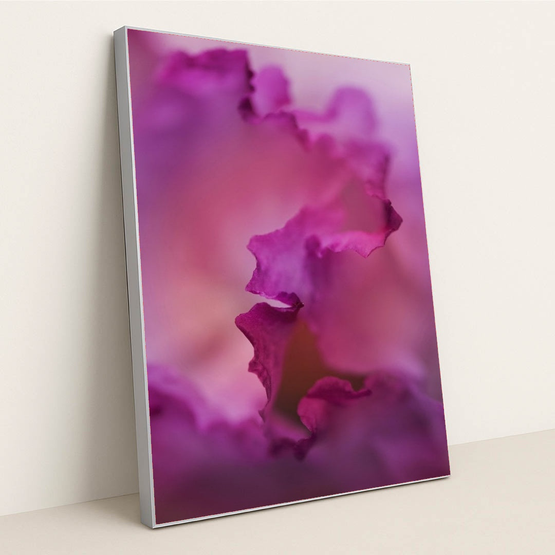 7090285740067 - Product Image