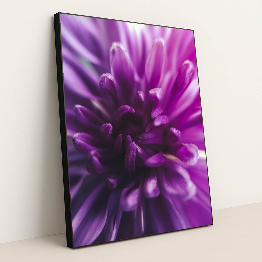 7090286886947 - Product Image