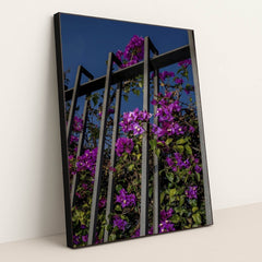 7090297536547 - Product Image