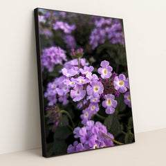 7090350194723 - Product Image