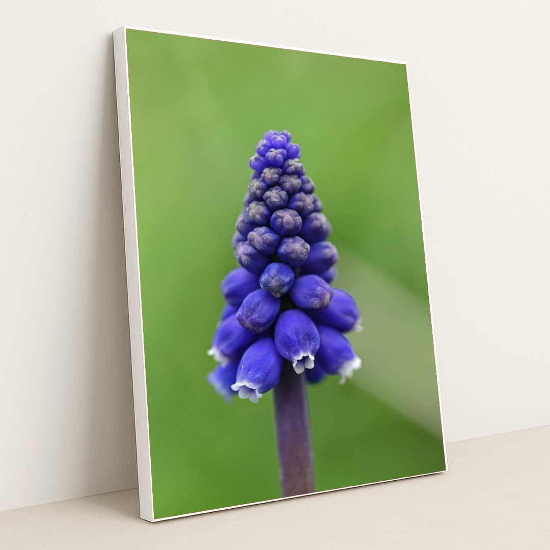 7090291998755 - Product Image