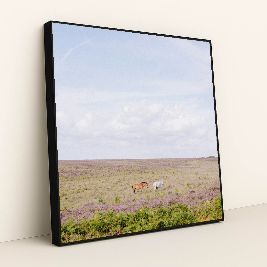 Quiet Grazing by Annie Spratt - Black Frame Stretchiez