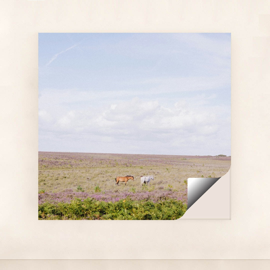 Quiet Grazing by Annie Spratt - Peeliez