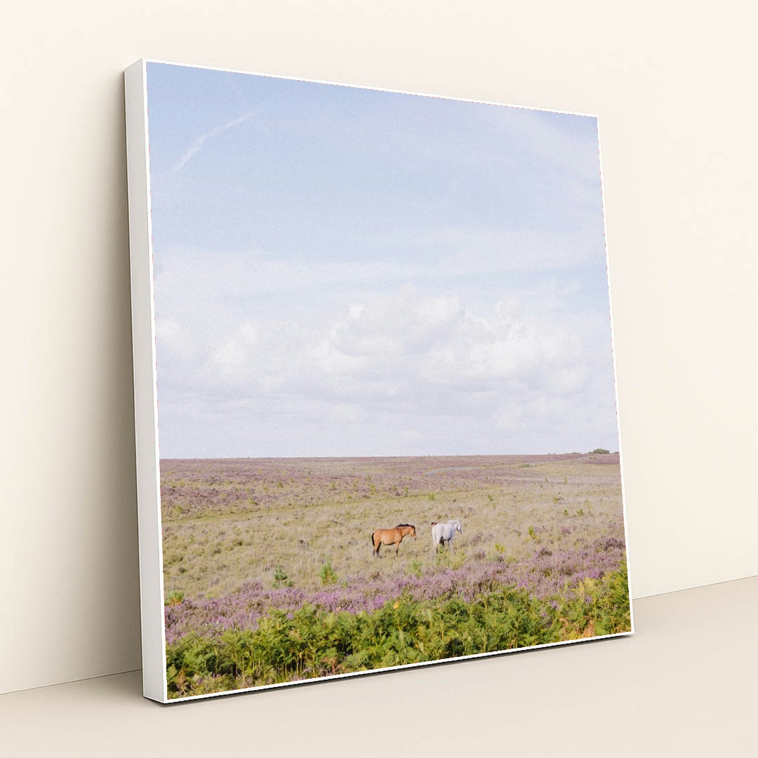 Quiet Grazing by Annie Spratt - White Frame Stretchiez