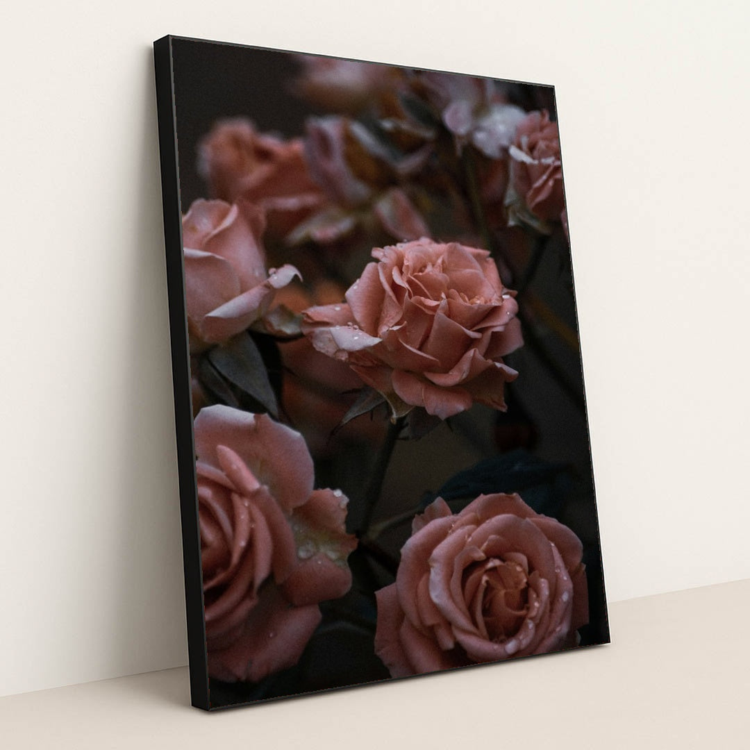 Quiet Roses at Dusk by Christina D. - Black Frame Stretchiez